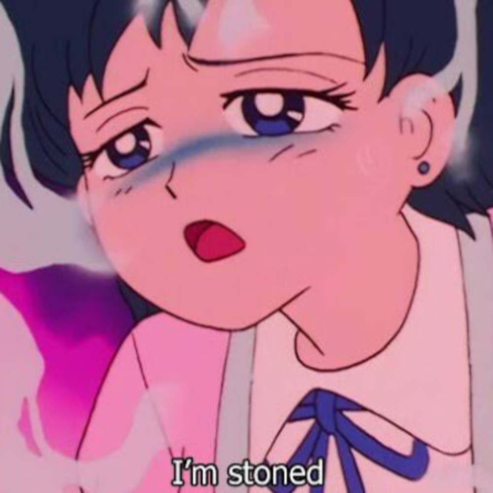 Meet your Posher, Jorge